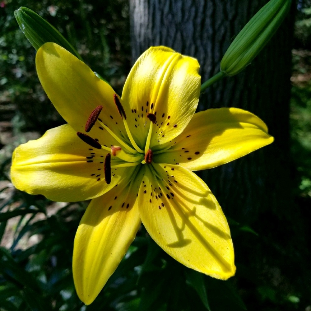 Meet your Posher, Sheila